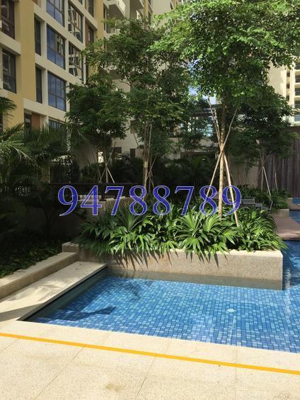 Terrasse (D19), Condominium #151881392